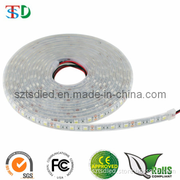 Hot Sell CE Approved IP67 LED Strip 5050, SMD LED Strip for Outdoor, Building, Decoration